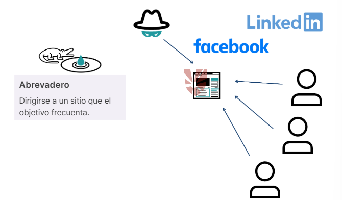 Descripción