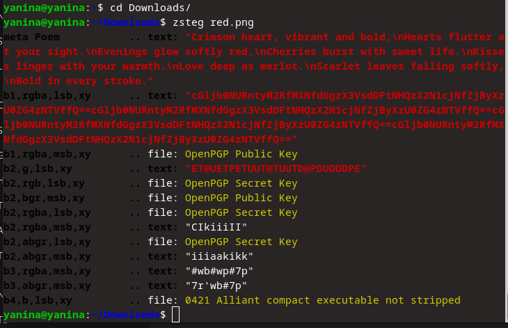 Imagen de la terminal
